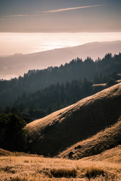 istock Lighting up the hills of Mount Tam 849096416