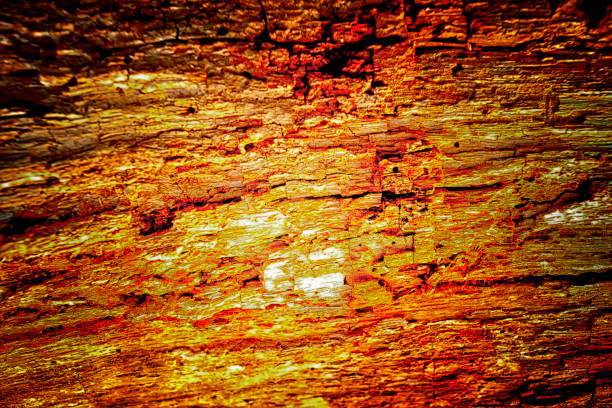 istock The old wood texture with natural patterns and cracks on the surface as background 849097728