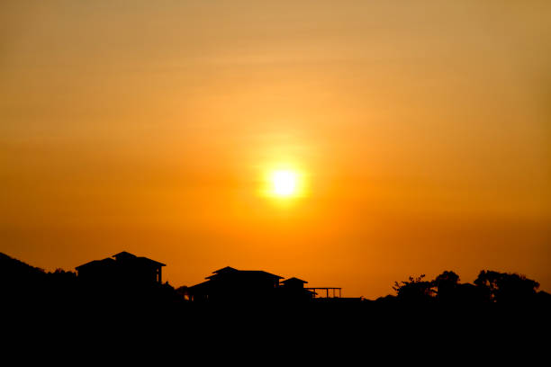 istock Silhouette of tree after sunset 849098918