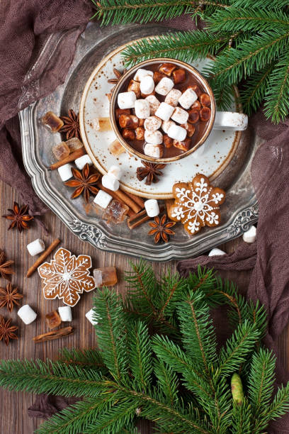 istock Mug with hot chocolate  and gingerbread cookies 849103012