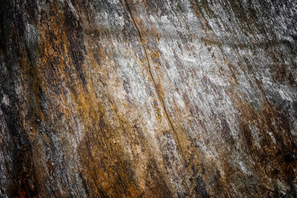 The old wood texture with natural patterns and cracks on the surface as background.