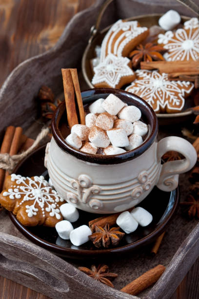 istock Cup of hot chocolate with marshmallows and gingerbread cookies 849110232