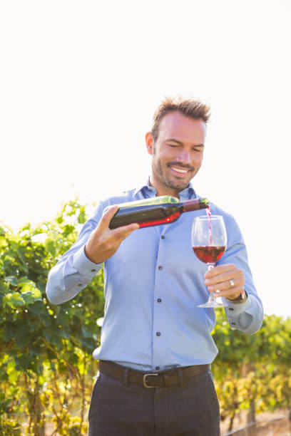 Smiling man pouring red wine from bottle in glass against sky at vineyard