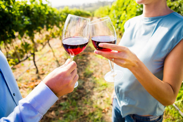 istock Midsection of couple toasting wineglasses 849111092