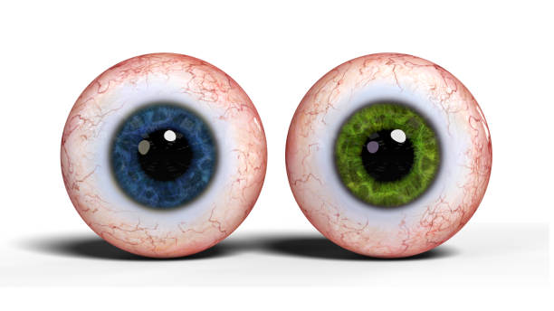 istock two realistic human eyeballs with blue and green iris isolated on white background 849133030
