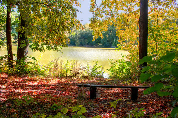 istock resting place on the lake 849133242