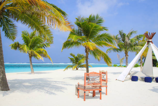 istock Tropical Beach with tent and bench 849136482