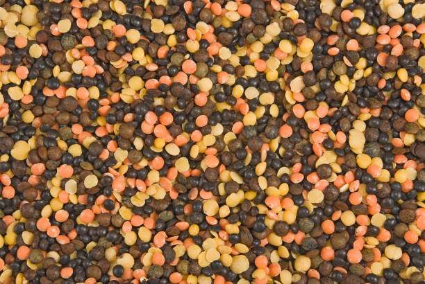 image of many lentils close up