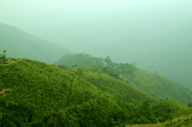 istock Misty summer mountain hills landscape 849151504