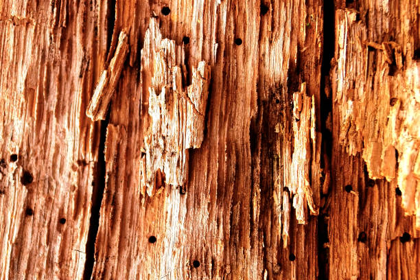 istock The old wood texture with natural patterns and cracks on the surface as background 849152470