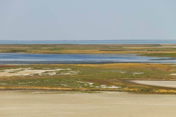 istock View on the Sivash lake, Ukraine 849155312