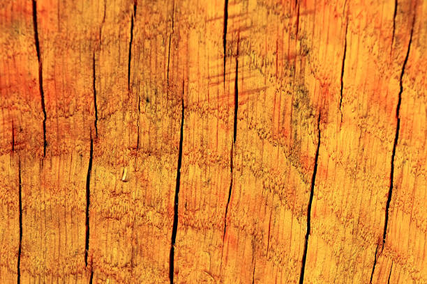 istock The old wood texture with natural patterns and cracks on the surface as background 849158846