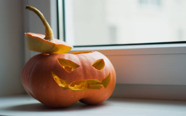 istock Holidays, Halloween and decoration concept. 849162380