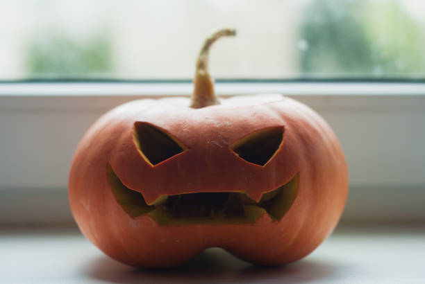 istock Holidays, Halloween and decoration concept. 849162442