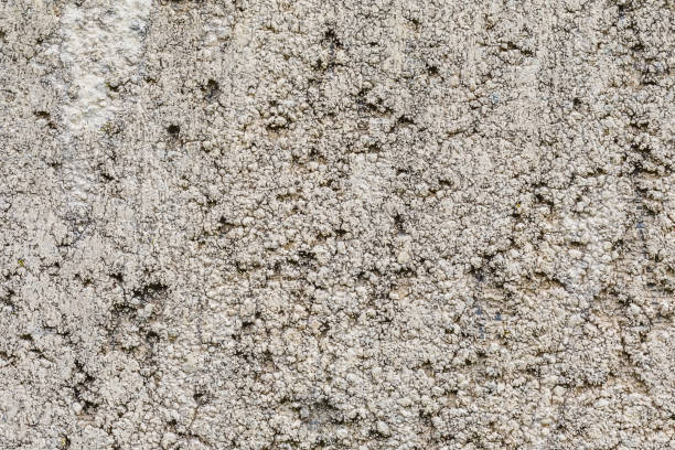 istock White concrete wall with natural texture and cracks on the surface as background 849166924