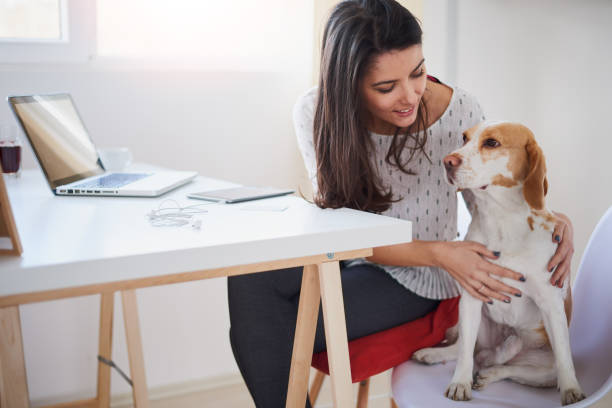 istock Caucasian businesswoman playing with dog 849170408