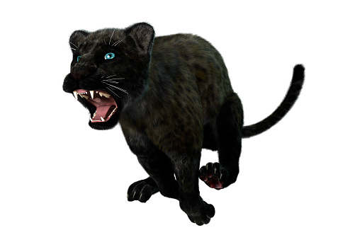 3d Rendering Black Panther On White Stock Photo - Download Image Now -  Black Color, Jumping, Undomesticated Cat - iStock