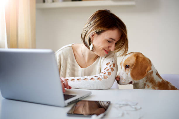 istock Caucasian businesswoman playing with dog 849172402