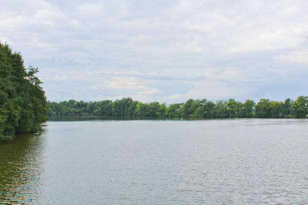 istock Pond with trees and blue sky, Czech landscape 849172684