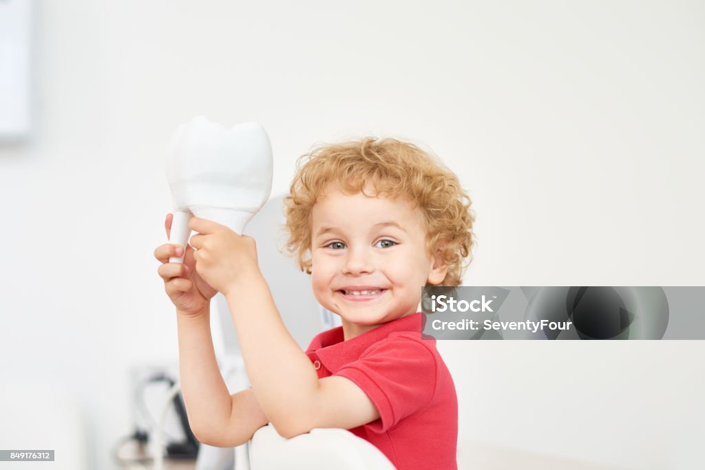 Smiling Toddler at Dental Office Head and shoulders portrait of cute toddler looking at camera while playing with tooth model at dental office, blurred background Child Stock Photo