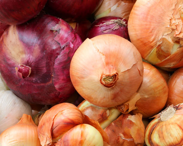 istock background of Red and white onions 849186492