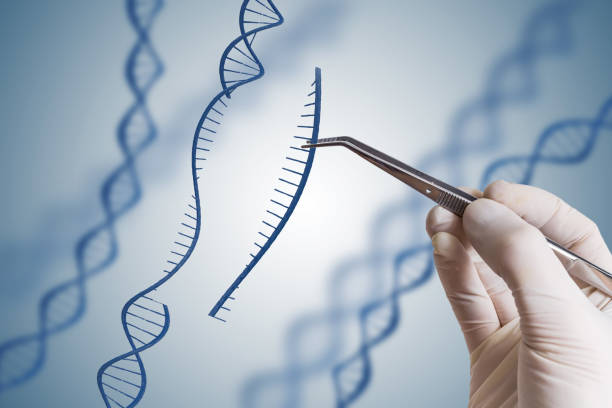 istock Genetic engineering, GMO and Gene manipulation concept. Hand is inserting sequence of DNA. 849193388