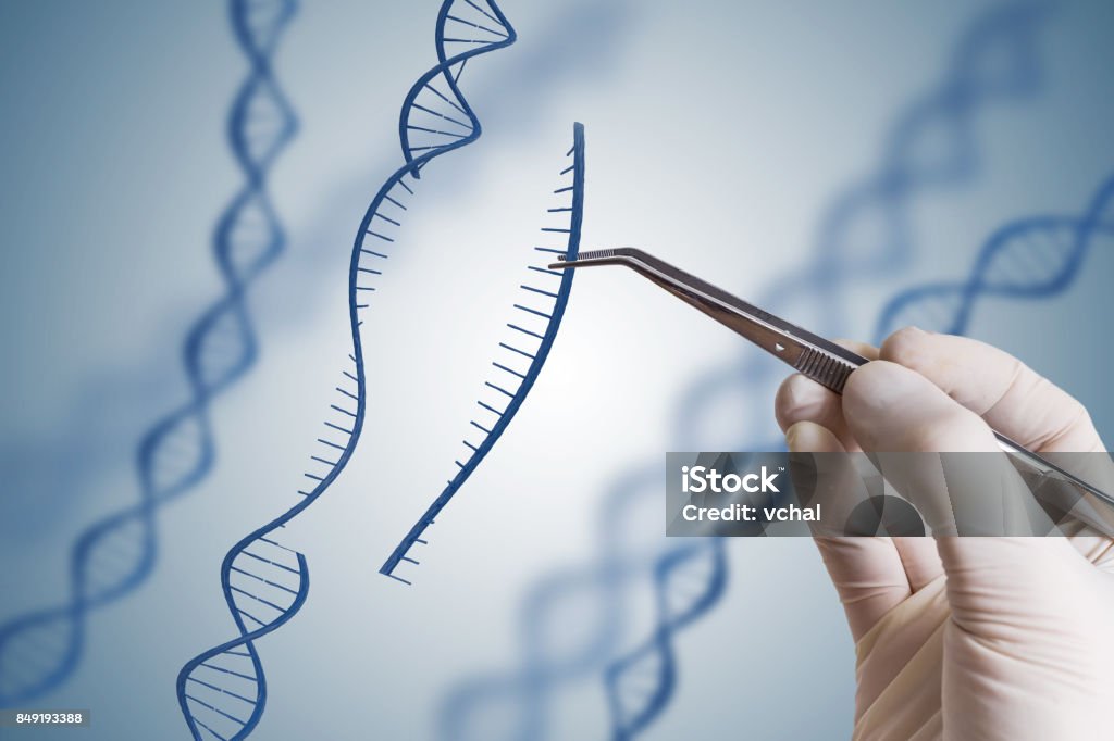 Genetic engineering, GMO and Gene manipulation concept. Hand is inserting sequence of DNA. CRISPR Stock Photo
