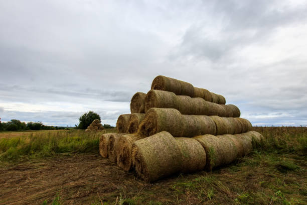 istock Haystacks on the field in Autumn season. 849195816