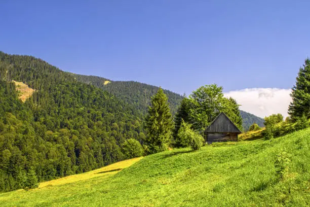 Lonely house in a mountainpass. Green forest around
