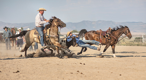 Cowboys chasing Bull at rodeo riding action in Utah, USA