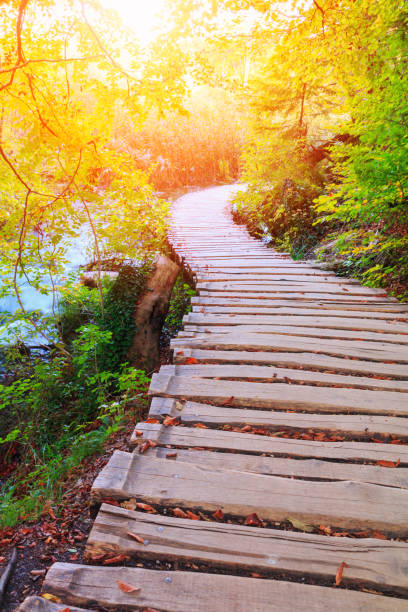 istock Wood path in the Plitvice lake national park 849208550