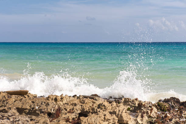 istock Playa Del Carmen, Mexico 849216298
