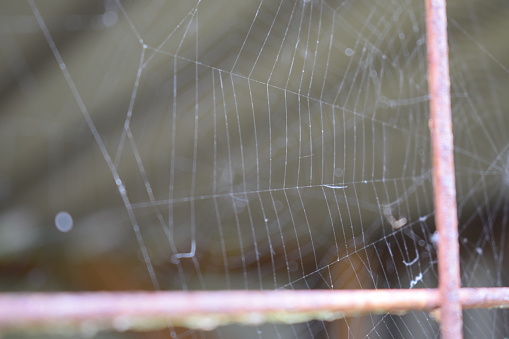 Close up of spider webs on a metal frame in abandoned garage.