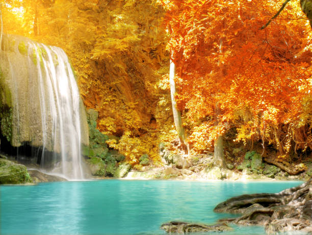 décor de feuilles colorées et eau bleue claire - waterfall tropical rainforest erawan thailand photos et images de collection