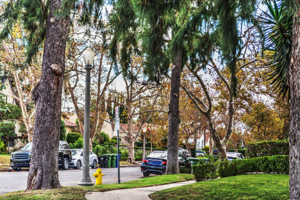 istock Luxury suburb in southern California 849229582
