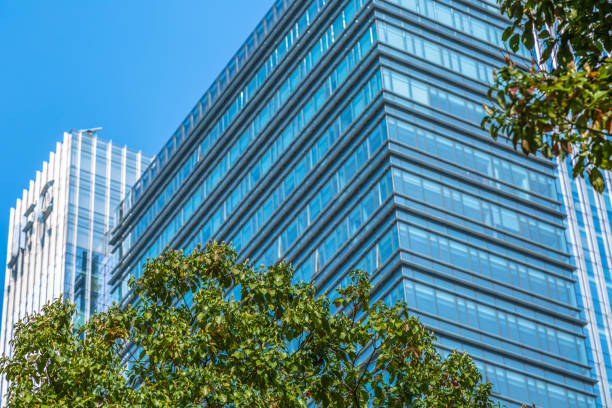 istock Details of a modern office building with a tree 849233692