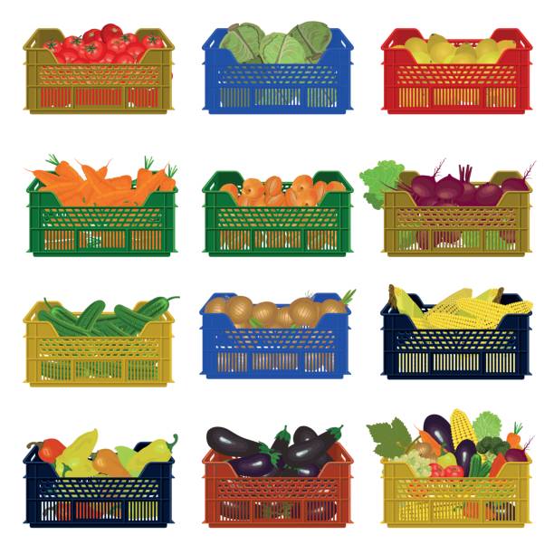 pudełka z tworzywa sztucznego z warzywami - beet vegetable box crate stock illustrations