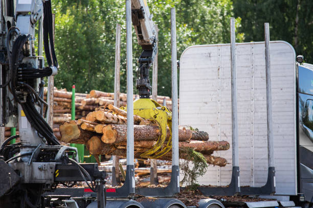 Lumber Loading 150+ Train Lumber Industry Loading Log Stock Photos, Pictures & Royalty ...