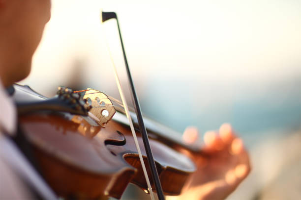 violino ravvicinato - ponticello di strumento musicale foto e immagini stock