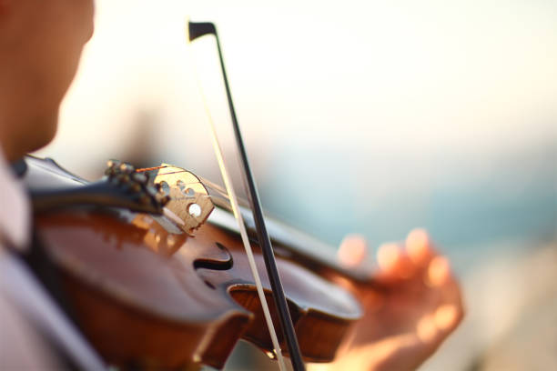 Close-up violin playing Bow - Musical Equipment, Arts Culture and Entertainment, Violin, Musical Instrument, Outdoor musical instrument bridge stock pictures, royalty-free photos & images