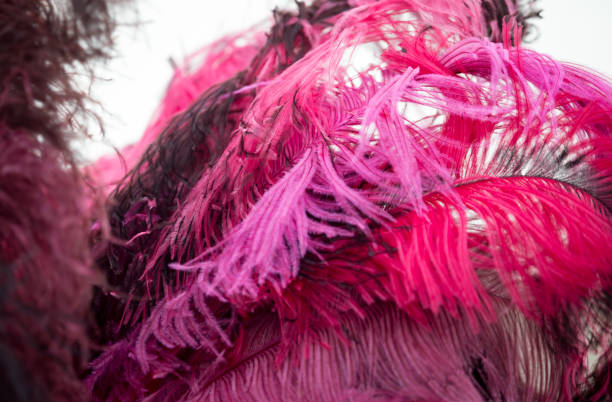 istock Beautiful red bird feathers as background 849257468