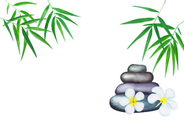 зеленый бамбук оставляет акварею иллюстрацию. ручной дзен фон. - arrangement asia backgrounds balance stock illustrations