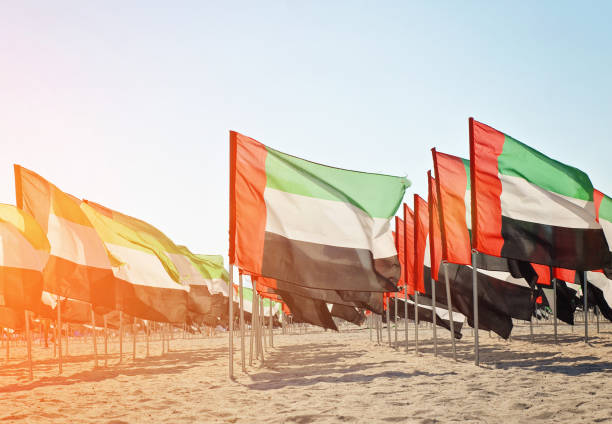 grand nombre de drapeaux des émirats arabes unis - flag of the united arab emirates photos et images de collection