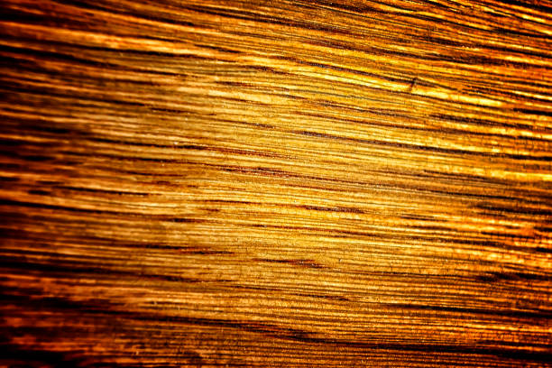 istock The old wood texture with natural patterns and cracks on the surface as background 849265306