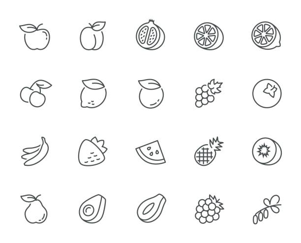 ilustraciones, imágenes clip art, dibujos animados e iconos de stock de icono de frutas vectoriales en estilo de línea fina - fruit apple orange lemon