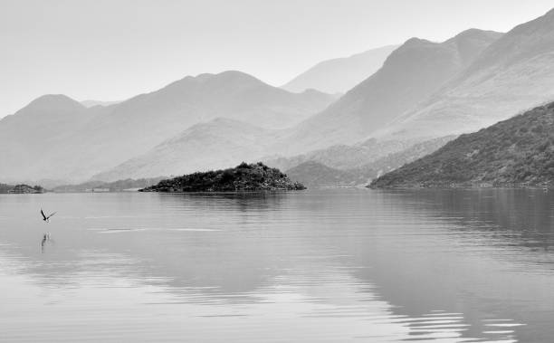 istock Mountains Lake and Bird 849273874