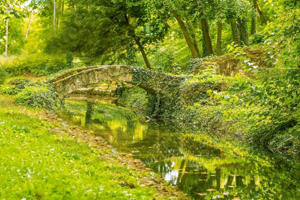 istock Green park with a beautiful river and bridge in autumn 849273986