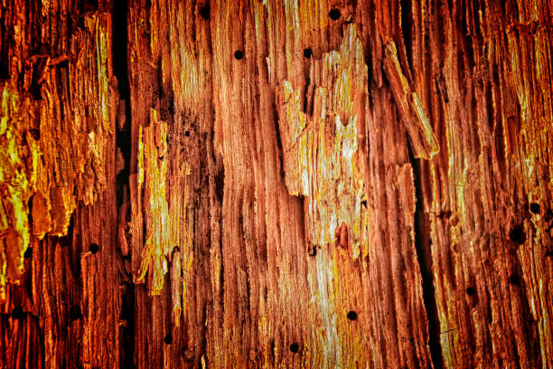 istock The old wood texture with natural patterns and cracks on the surface as background 849278448