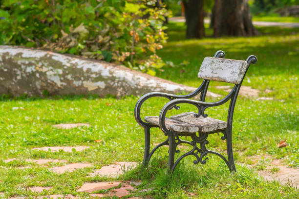 istock Empty old wooden and wrought iron bench in the park 849278824