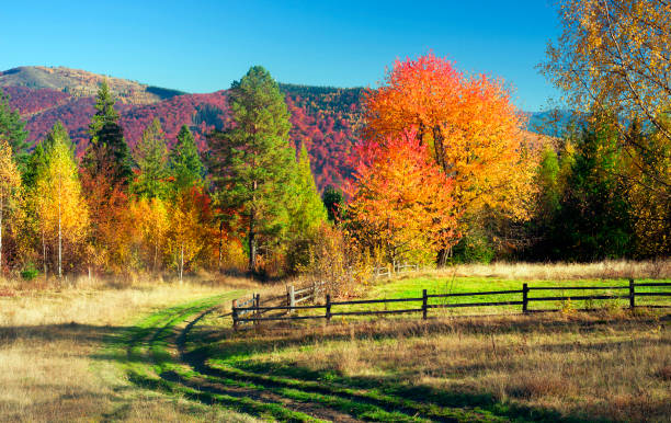 istock Autumn in Pokutsko-Bukovina Carpathians 849281724